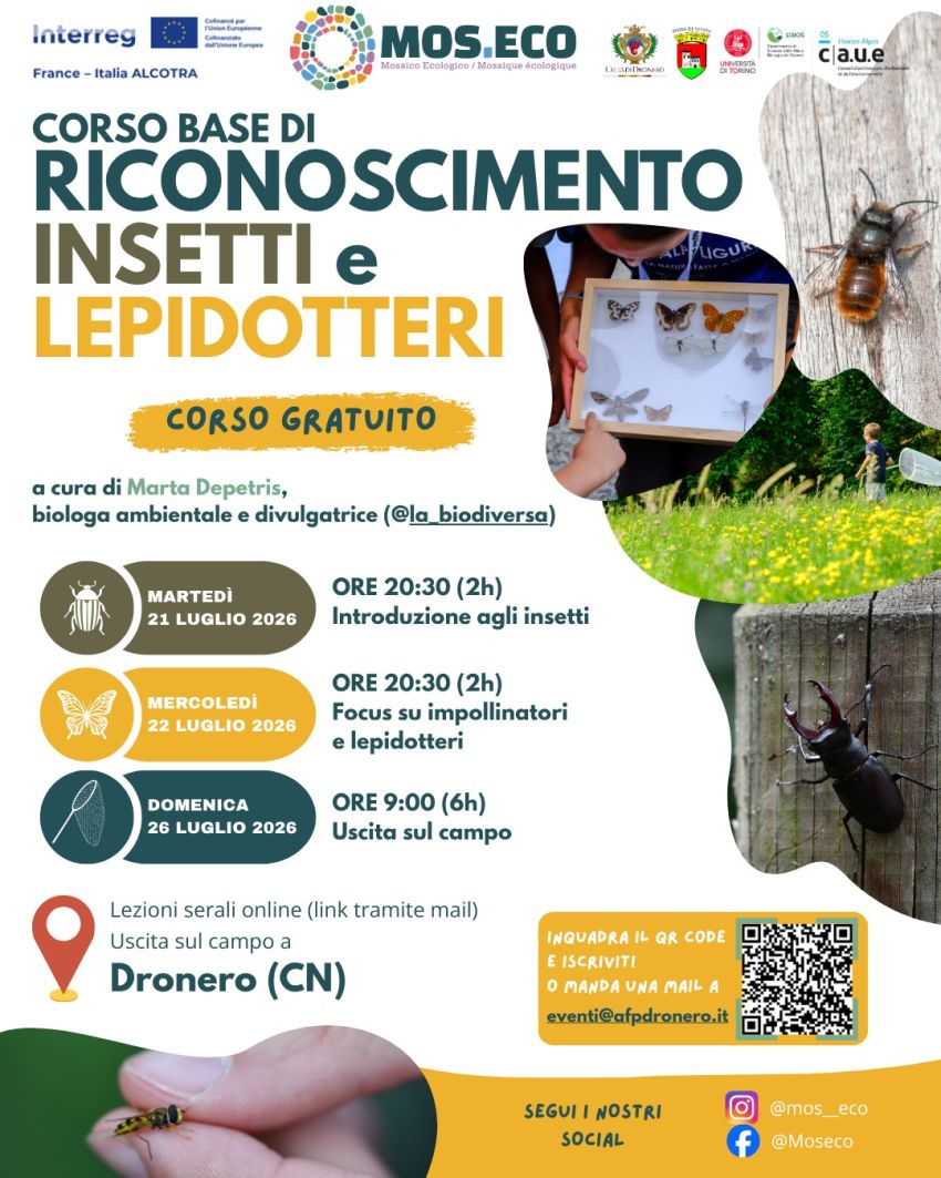 CORSO DI BASE DI RICONOSCIMENTO INSETTI E LEPIDOTTERI - Centro città e dintorni, Dronero (CN) - 🦋 𝐂𝐎𝐑𝐒𝐎 𝐁𝐀𝐒𝐄 𝐃𝐈 𝐑𝐈𝐂𝐎𝐍𝐎𝐒𝐂𝐈𝐌𝐄𝐍𝐓𝐎 𝐈𝐍𝐒𝐄𝐓𝐓𝐈 𝐄 𝐋𝐄𝐏𝐈𝐃𝐎𝐓𝐓𝐄𝐑𝐈Scopriamo il mondo degli insetti con MOS.ECO!🐞 Sotto la guida esperta di 𝑴𝒂𝒓𝒕𝒂 𝑫𝒆𝒑𝒆𝒕𝒓𝒊𝒔 ( @la_bi...