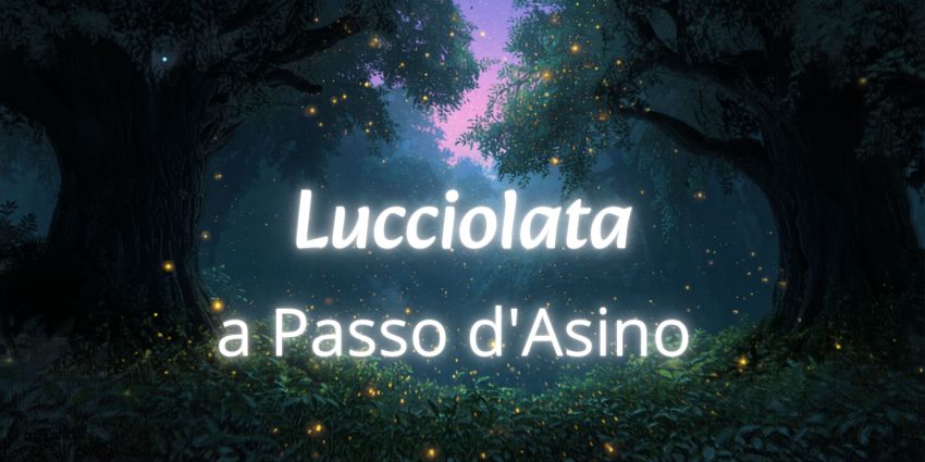 Lucciolata a Passo d'Asino - Golasecca , Golasecca (VA) - ✨️ Esperienza ideale per adulti e famiglie ✨️
Una camminata a passo lento nel bosco, col ritmo dell’asino, ottimo compagno di viaggio.
Potremo osser...