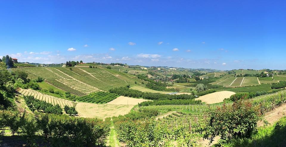 PODERI MORETTI offenes Weingut für Besuche und Weinproben wein von Alba, Langhe und Roero,  samstags und sonntags 2026 - Frazione Occhetti 15 e 40 Monteu Roero, Alba (CN) - Weinkeller nach Vereinbarung geöffnet. Dauer 2 Stunden. 
Der Weinkeller ist samstags um 10.30 Uhr und 15.00 Uhr, sonntags um 10.30 Uhr an folgenden T...
