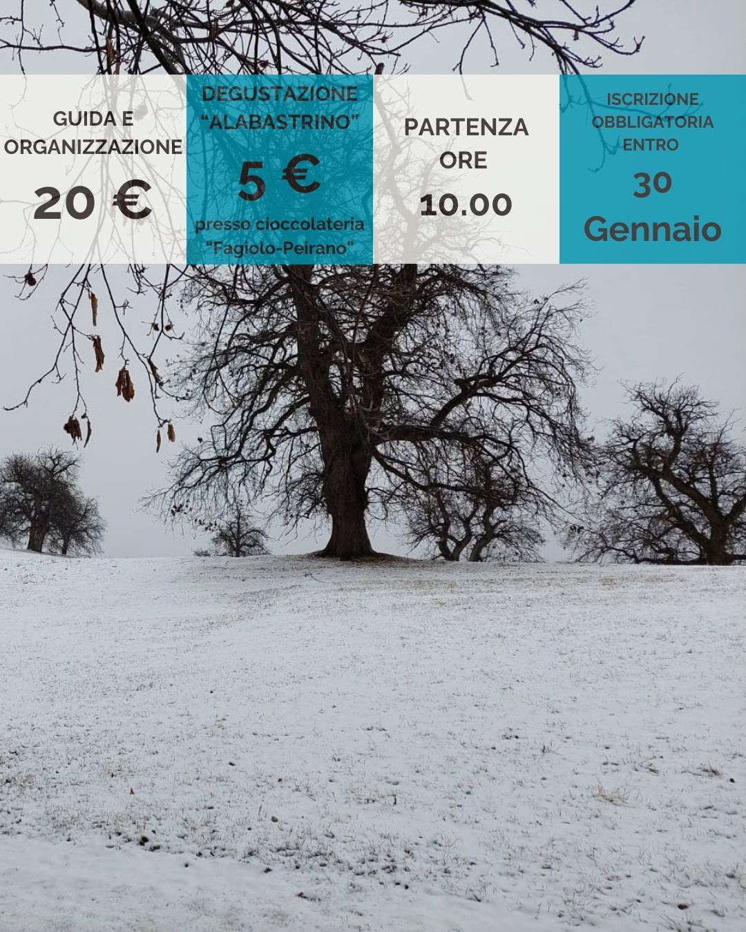 Cave di Alabastro e Monte Pagliano - Cave Alabastro, Busca (CN) -  🍫 𝗖𝗮𝘃𝗲 𝗱𝗶 𝗔𝗹𝗮𝗯𝗮𝘀𝘁𝗿𝗼 𝗲 𝗠. 𝗣𝗮𝗴𝗹𝗶𝗮𝗻𝗼 🪨 
🗓️ 𝟯𝟭 𝗚𝗲𝗻𝗻𝗮𝗶𝗼 
🥾 𝟭𝟮 𝗸𝗺 𝟱𝟬𝟬 𝗗+
👣 𝗗𝗶𝗳𝗳𝗶𝗰𝗼𝗹𝘁à 𝗧
⏰ 𝗣𝗮𝗿𝘁𝗲𝗻𝘇𝗮 𝗼𝗿𝗲 𝟭𝟬.𝟬𝟬
📝 Iscrizione obbligatoria entro il 𝟯𝟬 𝗴𝗲...