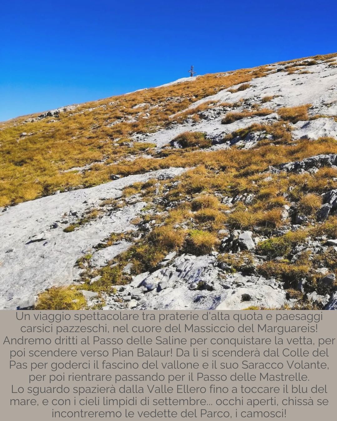 Escursione - Cima delle Saline - Fraz. Carnino Superiore, Briga Alta (CN) - 
 


𝗖𝗶𝗺𝗮 𝗱𝗲𝗹𝗹𝗲 𝗦𝗮𝗹𝗶𝗻𝗲📍 Valle Tanaro - Briga Alta, Fraz. Carnino Superiore (CN)📅 Domenica 06 Settembre🕣 ore 8.00🥾 16 km - 1300 D+🏞️ Un viaggio spe...