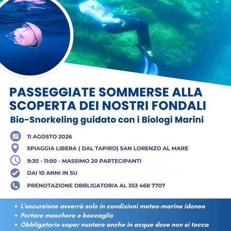 Bio-snorkeling - Spiaggia libera (dal Tapiro), San Lorenzo al Mare (IM) - 🌊🐙Unisciti ai biologi marini di Delfini del Ponente APS per un’attività di bio-snorkeling guidato alla scoperta della biodiversità dei fondali di Sa...