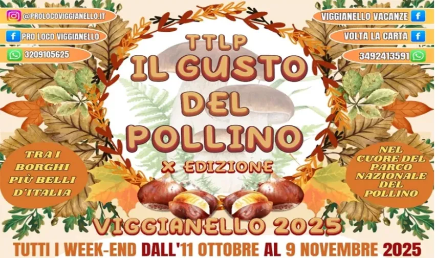 Il Gusto del Pollino - Centro, Viggianello (PZ) - Il Gusto del Pollino 2025 a Viggianello: sapori d’autunno nel cuore del Parco Nazionale
Dal 11 ottobre al 9 novembre 2025, ogni fine settimana Viggian...