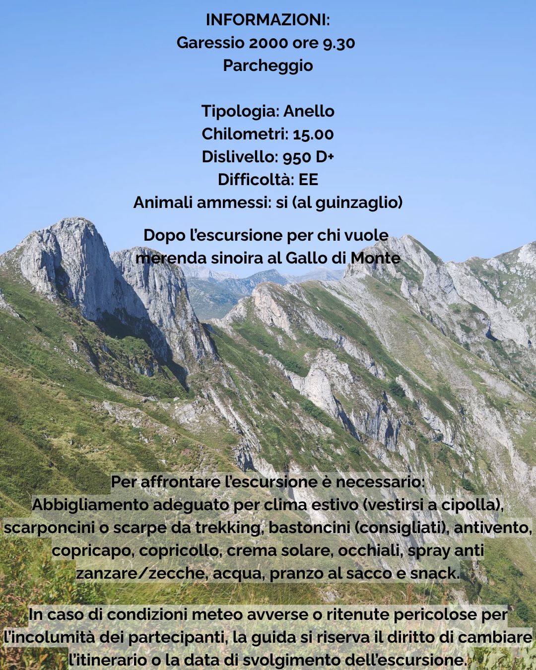 Monte Antoroto - Colle di Casotto, Garessio (CN) - 𝗠𝗼𝗻𝘁𝗲 𝗔𝗻𝘁𝗼𝗿𝗼𝘁𝗼, 𝟮𝟭𝟰𝟰 𝗺 𝗱𝗶 ✨
📅 𝗤𝘂𝗮𝗻𝗱𝗼: Domenica 21 Giugno
📍 𝗥𝗶𝘁𝗿𝗼𝘃𝗼: Ore 9.30 a Garessio 2000 (zona parcheggio)
📏 𝗗𝗶𝘀𝘁𝗮𝗻𝘇𝗮: 15.00 km
📈 𝗗𝗶𝘀𝗹𝗶𝘃𝗲𝗹𝗹𝗼:...