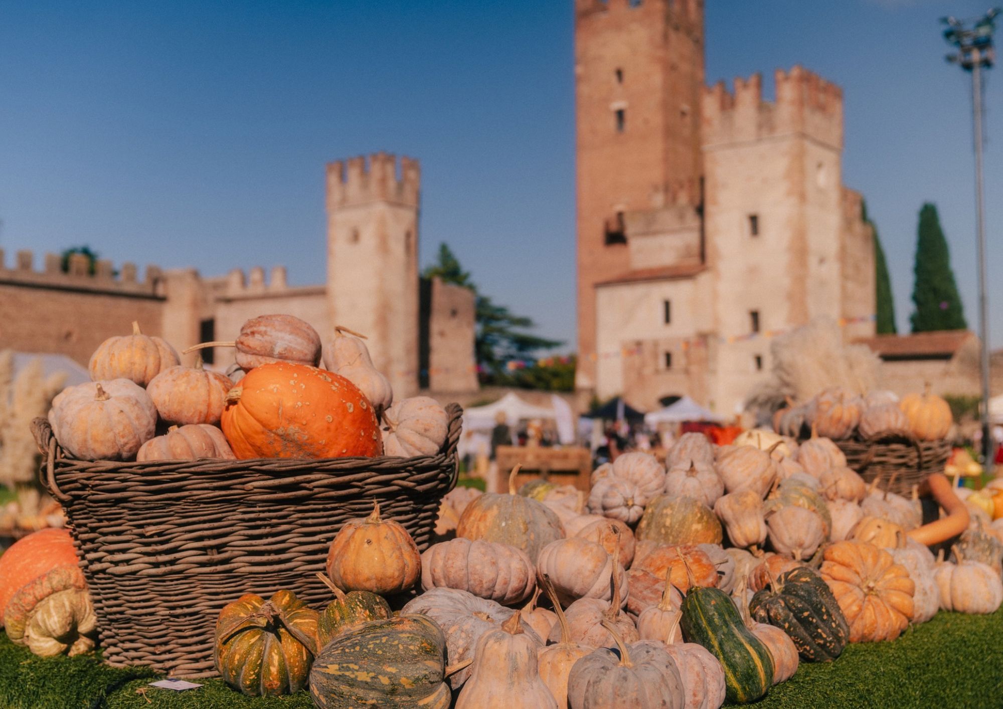 ZUCCALAND - Festival d'autunno - Castello Scaligero, Villafranca di Verona (VR) - Arriva a Villafranca di Verona la 4^ Edizione del 𝙁𝙚𝙨𝙩𝙞𝙫𝙖𝙡 𝘿'𝘼𝙪𝙩𝙪𝙣𝙣𝙤, pronto a far divertire grandi e piccini.
 𝙕𝙐𝘾𝘾𝘼𝙇𝘼𝙉𝘿  𝟮𝟰 - 𝟮𝟱 𝙊𝙩𝙩𝙤𝙗𝙧𝙚 - 𝟯𝟭 𝙊𝙩𝙩𝙤𝙗𝙧...