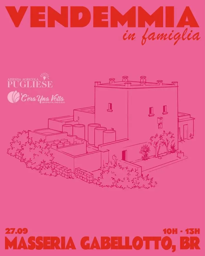 Vendemmia in Famiglia - (Masseria Gabellotto), Brindisi (BR) - 