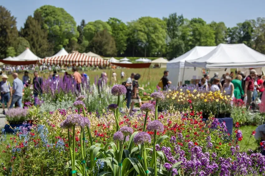 FAI - Tre Giorni per il Giardino - Via del Castello, 1, Caravino (TO) - La XXXIV edizione primaverile di Tre Giorni per il Giardino è dedicata al tema «Radici».
Tra gli ospiti, Luca Mercalli, Franco Correggia e il «giardin...