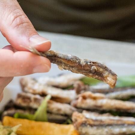 Un mare di sapori - Lungomare Argentina, Bordighera (IM) - Dal 27 al 29 luglio, tre serate sul Lungomare Argentina dedicate ai sapori del territorio, tra proposte gastronomiche, musica e atmosfera estiva.
Un...