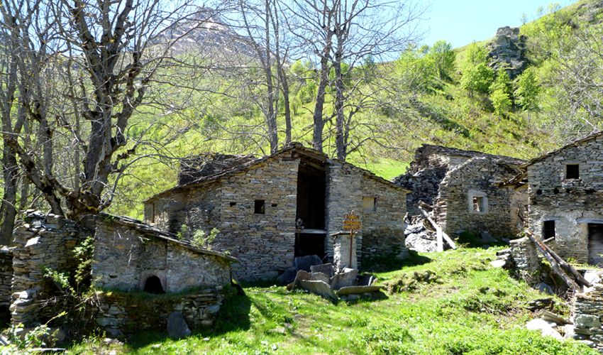 ESCURSIONI LE BORGATE NARRANO - Orme tra le borgate - Castelmagno, Castelmagno (CN) - 
 𝗢𝗿𝗺𝗲 𝘁𝗿𝗮 𝗹𝗲 𝗯𝗼𝗿𝗴𝗮𝘁𝗲
𝘓𝘦 𝘣𝘰𝘳𝘨𝘢𝘵𝘦 𝘯𝘢𝘳𝘳𝘢𝘯𝘰
 


 Domenica 09 agosto 2026
 



Partendo da Campomolino saliremo verso la cresta che fa da spartiacque con...