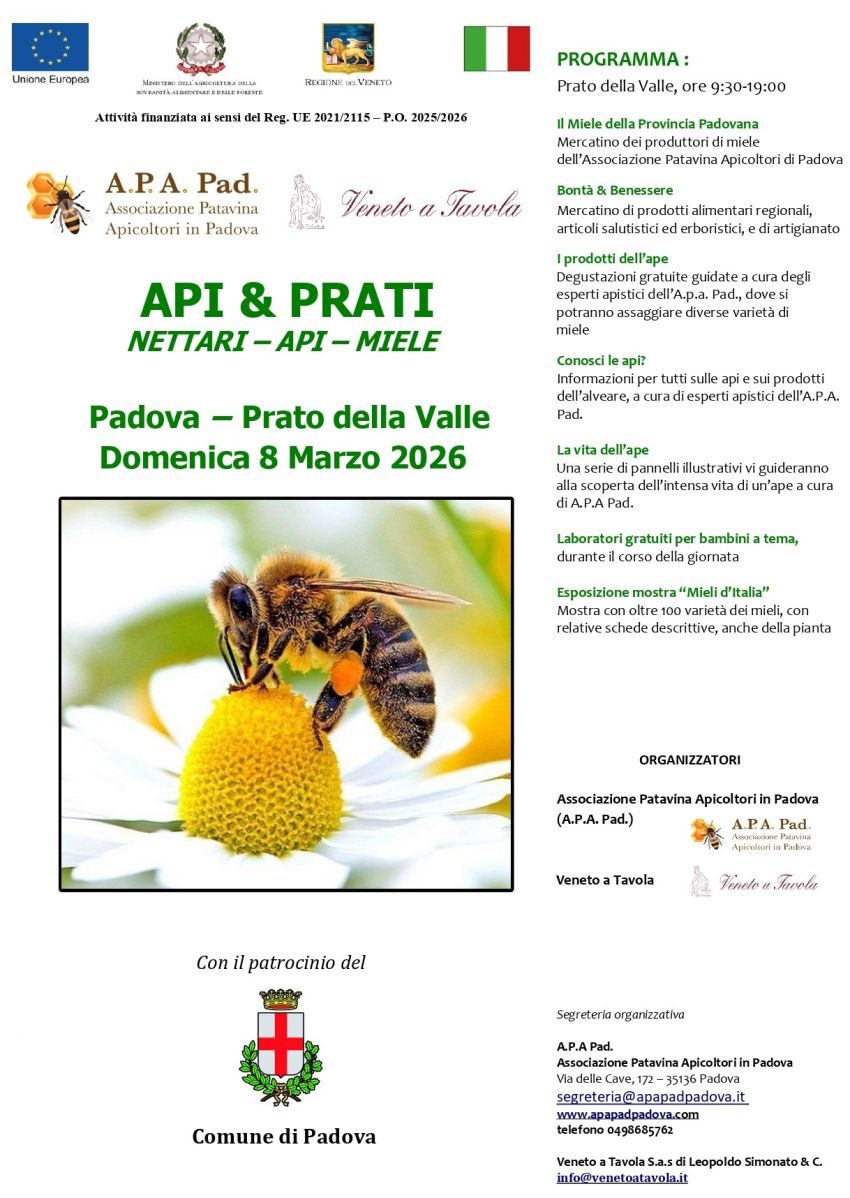 Api & Prati - Prato della Valle, Padova (PD) - Ritorna per l’ottava edizione la manifestazione API & PRATI, domenica 8 Marzo 2026 nella splendida cornice di Prato della Valle a Padova, per l’intera...
