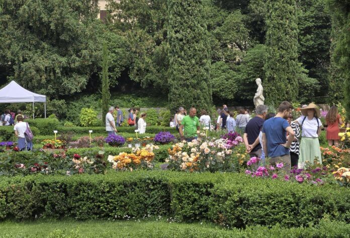 Verona Flower Show - Mostra mercato piante rare e inconsuete - via Giardino Giusti, 2, Verona (VR) - Verona Flower Show, mostra mercato piante rare e inconsuete:il 2 e 3 Maggio nel meraviglioso Giardino Giusti
Torna l’appuntamento per gli amanti del v...