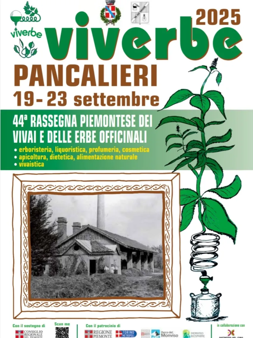 VIVERBE - Via Circonvallazione (impianti sportivi), Pancalieri (TO) -
Dal 19 al 23 settembre vi aspettiamo numerosi a Pancalieri per la nuova edizione di Viverbe 🌿💚