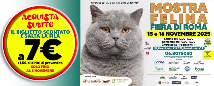MOSTRA FELINA - SuperCat Show  - Nuova Fiera di Roma, Roma (RM) - 🐾 SuperCat Show 2025: Roma celebra il fascino dei gatti alla Nuova Fiera di Roma
Torna a Roma uno degli eventi più amati dagli appassionati di animal...