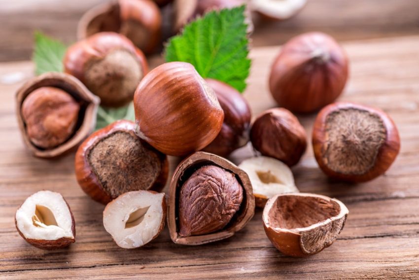 SAPERE I SAPORI. La nocciola - Aula Magna DiSAFA, piazza Torino 3, Cuneo, Cuneo (CN) - La “Tonda e Gentile” delle Langhe non è solo un frutto, ma l’anima di un paesaggio unico al mondo. Il quarto appuntamento del ciclo “Sapere i Sapori”...