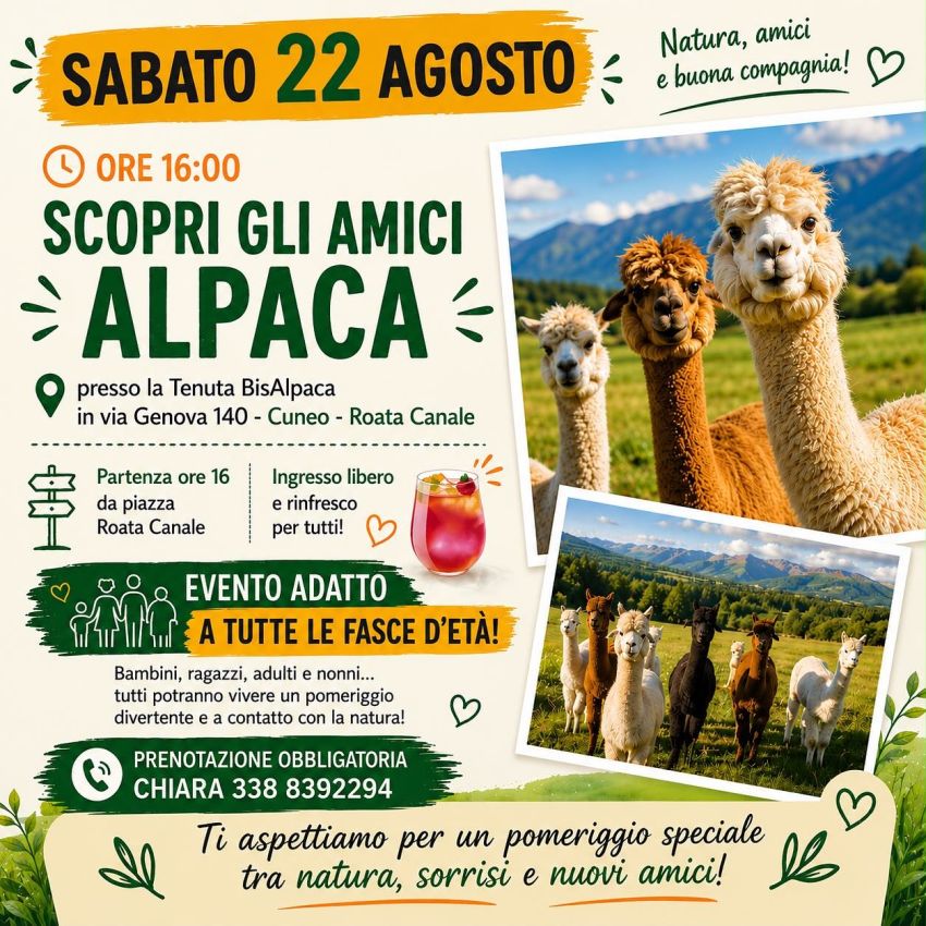 SCOPRI GLI AMICI ALPACA - Roata Canale, Piazza, Cuneo (CN) - 🦙🌿 Un pomeriggio speciale ti aspetta!📅 Sabato 22 Agosto vieni a vivere un’esperienza unica alla scoperta dei simpaticissimi alpaca presso la Tenuta...
