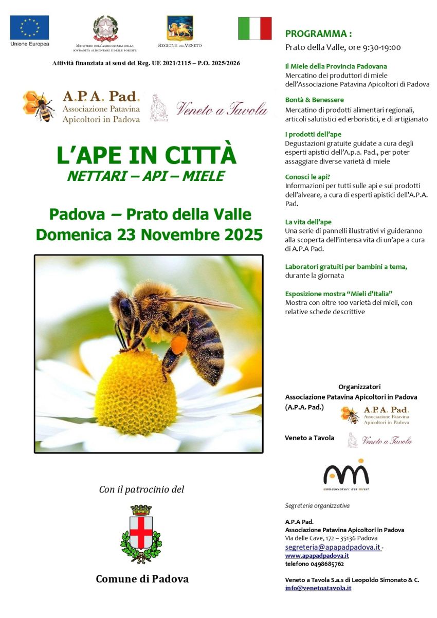 L'Ape in Città - Prato della Valle, Padova (PD) - La manifestazione L’Ape in Città si svolgerà domenica 23 novembre nella splendida cornice di Prato della Valle a Padova, e sarà dedicata al miele ed a...