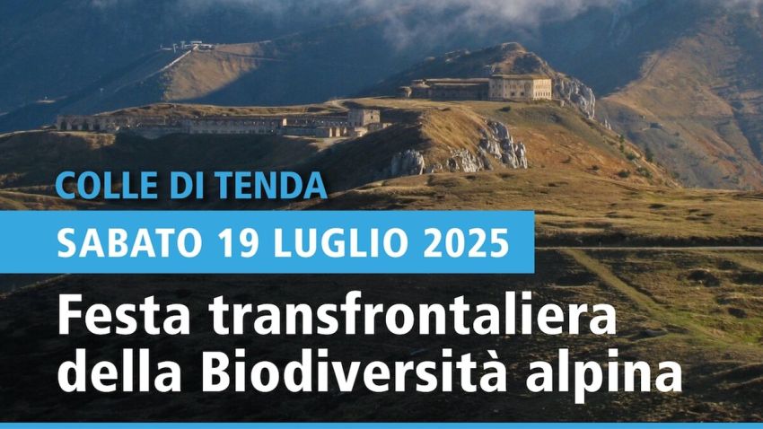 Festa transfrontaliera della Biodiversità alpina - Colle di Tenda, Limone Piemonte (CN) - 

APAM e Parc national du Mercantour vi danno appuntamento il 19 luglio al Colle di Tenda per un evento transfrontaliero per la tutela della biodivers...