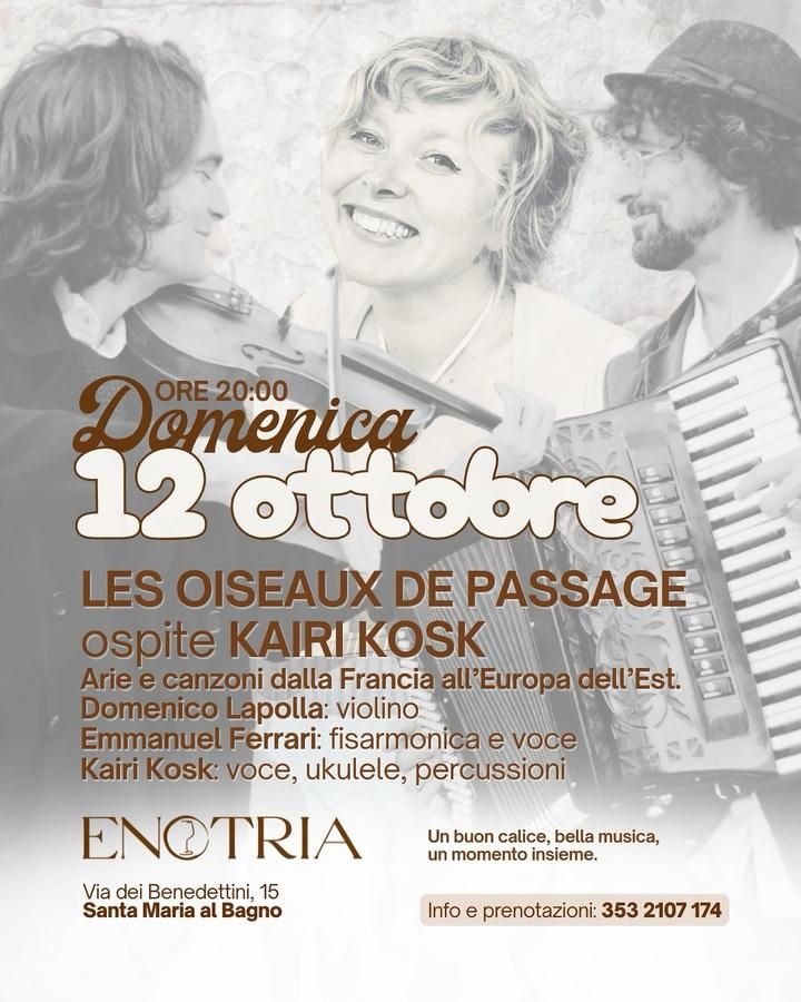 Les Oiseaux De Passage - Santa Maria al Bagno Via dei Benedettini 15 (Enotria), Nardò (LE) - 