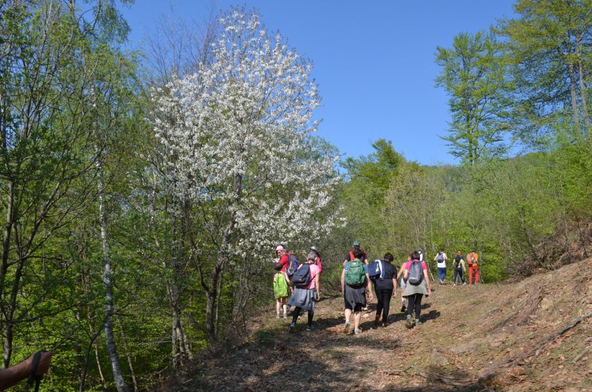 ESCURSIONI LE BORGATE NARRANO - Passi nella memoria - Valgrana, Valgrana (CN) - 
𝗣𝗮𝘀𝘀𝗶 𝗻𝗲𝗹𝗹𝗮 𝗺𝗲𝗺𝗼𝗿𝗶𝗮
𝘓𝘦 𝘣𝘰𝘳𝘨𝘢𝘵𝘦 𝘯𝘢𝘳𝘳𝘢𝘯𝘰
 


 Domenica 10 maggio 2026
 


Escursione tra le borgate in cui è stata scritta la storia d'Italia, partendo...