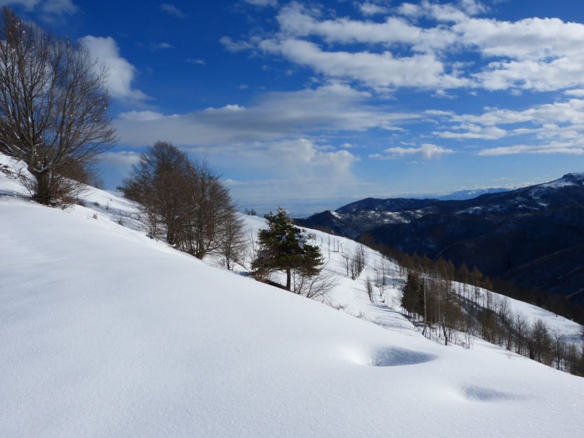 ESCURSIONE "AMBORNE', RAVETO E LA VALLE GRANA NASCOSTA" - Monterosso Grana, Monterosso Grana (CN) - 
𝐀𝐦𝐛𝐨𝐫𝐧è, 𝐑𝐚𝐯𝐞𝐭𝐨 𝐞 𝐥𝐚 𝐕𝐚𝐥𝐥𝐞 𝐆𝐫𝐚𝐧𝐚 𝐧𝐚𝐬𝐜𝐨𝐬𝐭𝐚
𝐌𝐚𝐫𝐭𝐞𝐝ì 𝟎𝟔 𝐠𝐞𝐧𝐧𝐚𝐢𝐨 𝟐𝟎𝟐𝟔


Esistono luoghi che restano inspiegabilmente fuori dai circuiti più battuti, pur...
