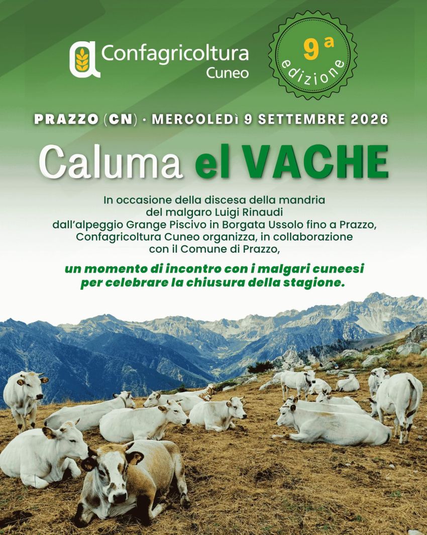 CALUMA EL VACHE - Prazzo, Prazzo (CN) - Mercoledì 9 settembre a Prazzo è in programma la nona edizione di “Caluma el vache. Il ritorno della mandria a valle”. L’iniziativa, realizzata in occ...