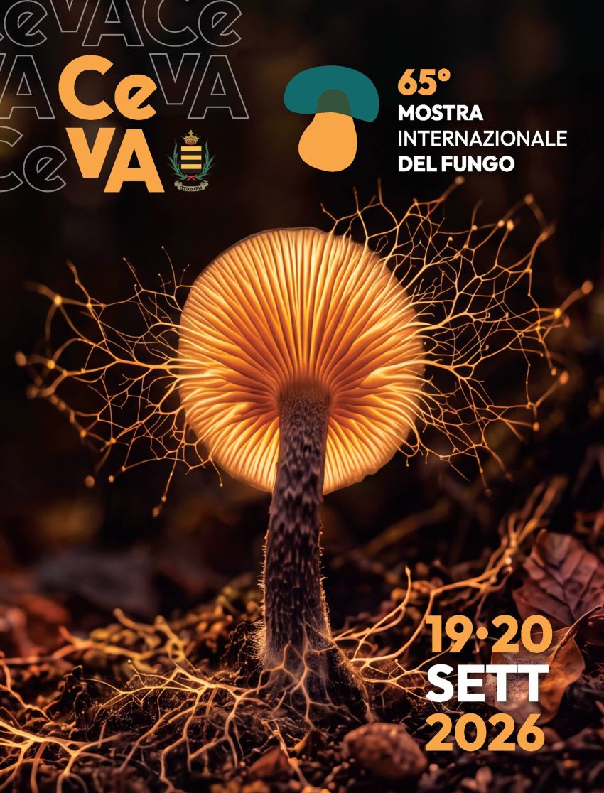 MOSTRA DEL FUNGO A CEVA - Ceva, Ceva (CN) - Il 19 e 20 settembre 2026 appuntamento aperto a tutti e tutte a Ceva con la 65° edizione della Mostra del Fungo. Grande mostra micologica, cucina e st...
