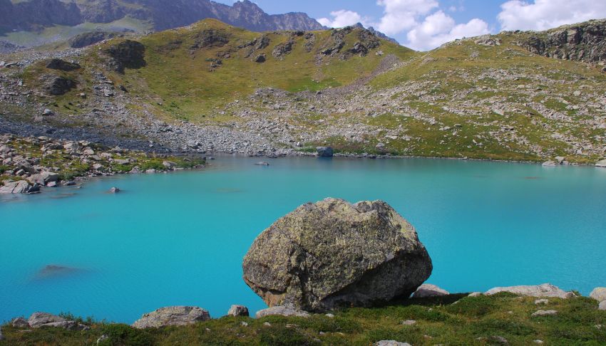 ESCURSIONI VALLI DA SCOPRIRE - Laghi di Viso - Crissolo, Crissolo (CN) - 
 𝗩𝗮𝗹𝗹𝗲 𝗣𝗼 - 𝗟𝗮𝗴𝗵𝗶 𝗱𝗶 𝗩𝗶𝘀𝗼
𝘝𝘢𝘭𝘭𝘪 𝘥𝘢 𝘴𝘤𝘰𝘱𝘳𝘪𝘳𝘦
 


 Martedì 21 luglio 2026
 


Ai piedi di sua maestà Viso, che con i suoi 3841 metri domina il basso Pi...