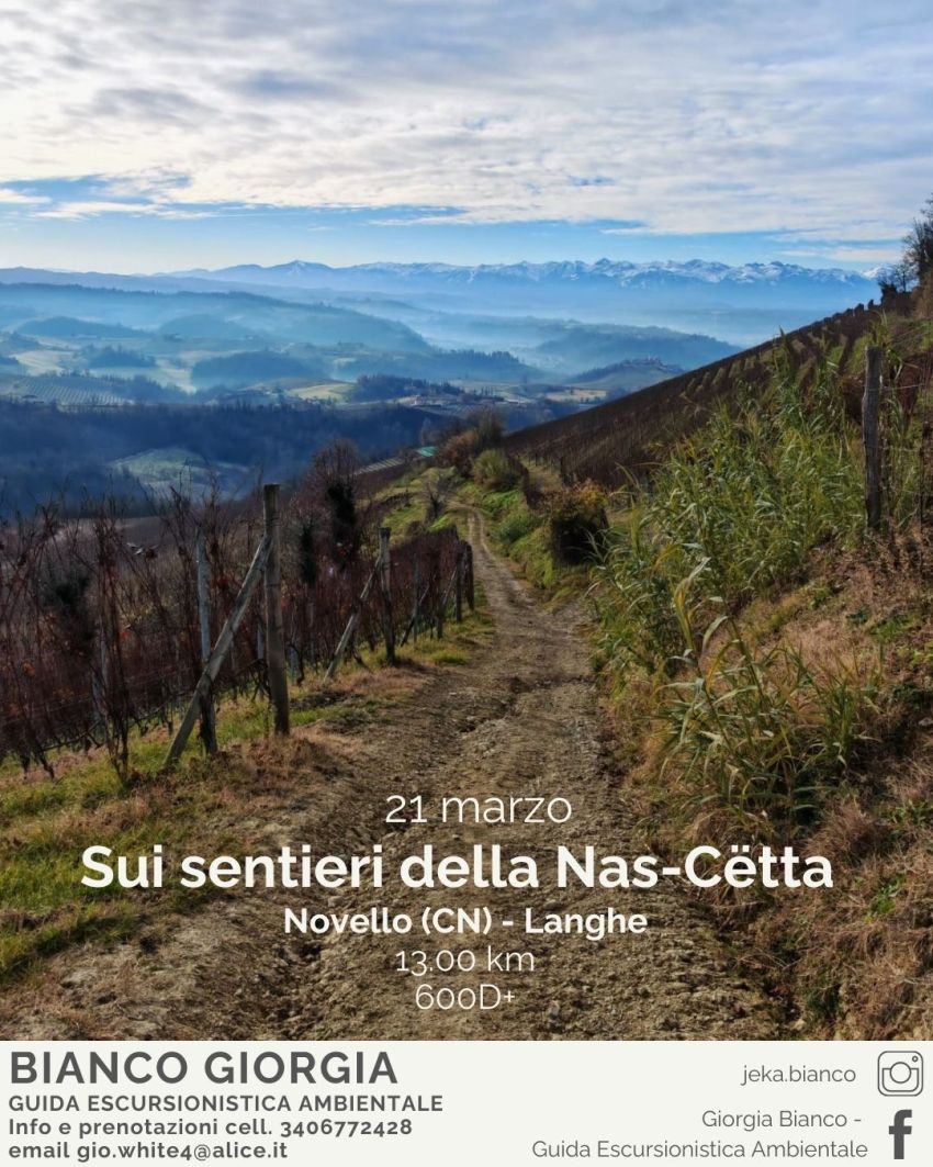 🍇🌼Sui sentieri della Nas-Cëtta - Piazza Monviso, Novello (CN) - 🗓️ 𝗦𝗮𝗯𝗮𝘁𝗼 𝟮𝟭 𝗠𝗮𝗿𝘇𝗼
📌 𝗡𝗼𝘃𝗲𝗹𝗹𝗼 (𝗖𝗡) - 𝗟𝗮𝗻𝗴𝗵𝗲
🕐 𝗣𝗮𝗿𝘁𝗲𝗻𝘇𝗮 𝗼𝗿𝗲 𝟎𝟗:𝟬𝟬
🥾𝟭𝟯 𝗞𝗺 - 𝟲𝟬𝟬 𝗗+
🍸 𝗗𝗲𝗴𝘂𝘀𝘁𝗮𝘇𝗶𝗼𝗻𝗲 𝗱𝗲𝗹𝗹𝗮 𝗡𝗮𝘀-𝗰𝗲𝘁𝘁𝗮 𝗽𝗿𝗲𝘀𝘀𝗼 𝗹𝗮 𝗖𝗮𝗻𝘁𝗶𝗻𝗮 𝗖𝗼𝗺𝘂𝗻𝗮𝗹𝗲 𝗱𝗶 𝗡𝗼𝘃𝗲𝗹...