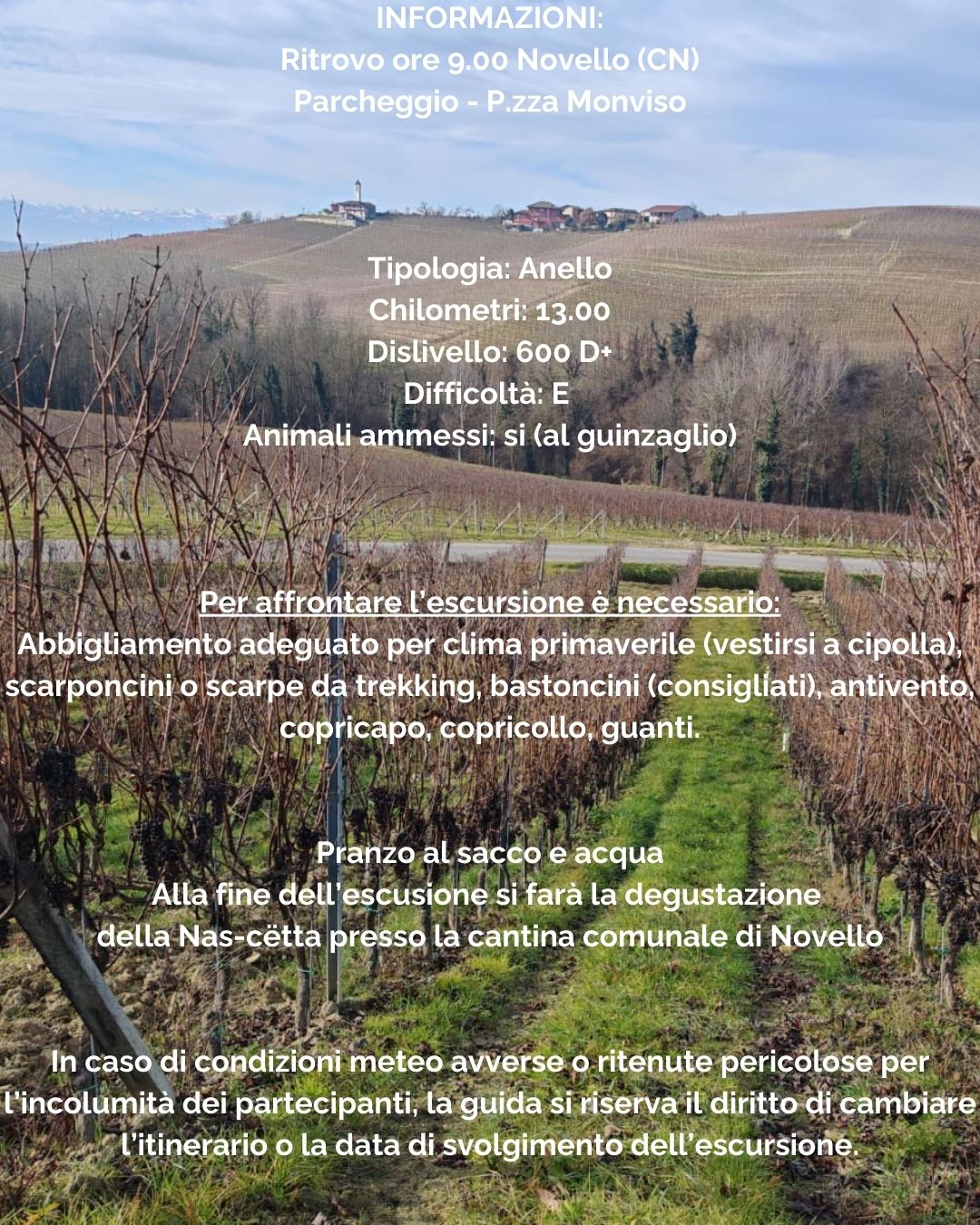 🍇🌼Sui sentieri della Nas-Cëtta - Piazza Monviso, Novello (CN) - 🗓️ 𝗦𝗮𝗯𝗮𝘁𝗼 𝟮𝟭 𝗠𝗮𝗿𝘇𝗼
📌 𝗡𝗼𝘃𝗲𝗹𝗹𝗼 (𝗖𝗡) - 𝗟𝗮𝗻𝗴𝗵𝗲
🕐 𝗣𝗮𝗿𝘁𝗲𝗻𝘇𝗮 𝗼𝗿𝗲 𝟎𝟗:𝟬𝟬
🥾𝟭𝟯 𝗞𝗺 - 𝟲𝟬𝟬 𝗗+
🍸 𝗗𝗲𝗴𝘂𝘀𝘁𝗮𝘇𝗶𝗼𝗻𝗲 𝗱𝗲𝗹𝗹𝗮 𝗡𝗮𝘀-𝗰𝗲𝘁𝘁𝗮 𝗽𝗿𝗲𝘀𝘀𝗼 𝗹𝗮 𝗖𝗮𝗻𝘁𝗶𝗻𝗮 𝗖𝗼𝗺𝘂𝗻𝗮𝗹𝗲 𝗱𝗶 𝗡𝗼𝘃𝗲𝗹...