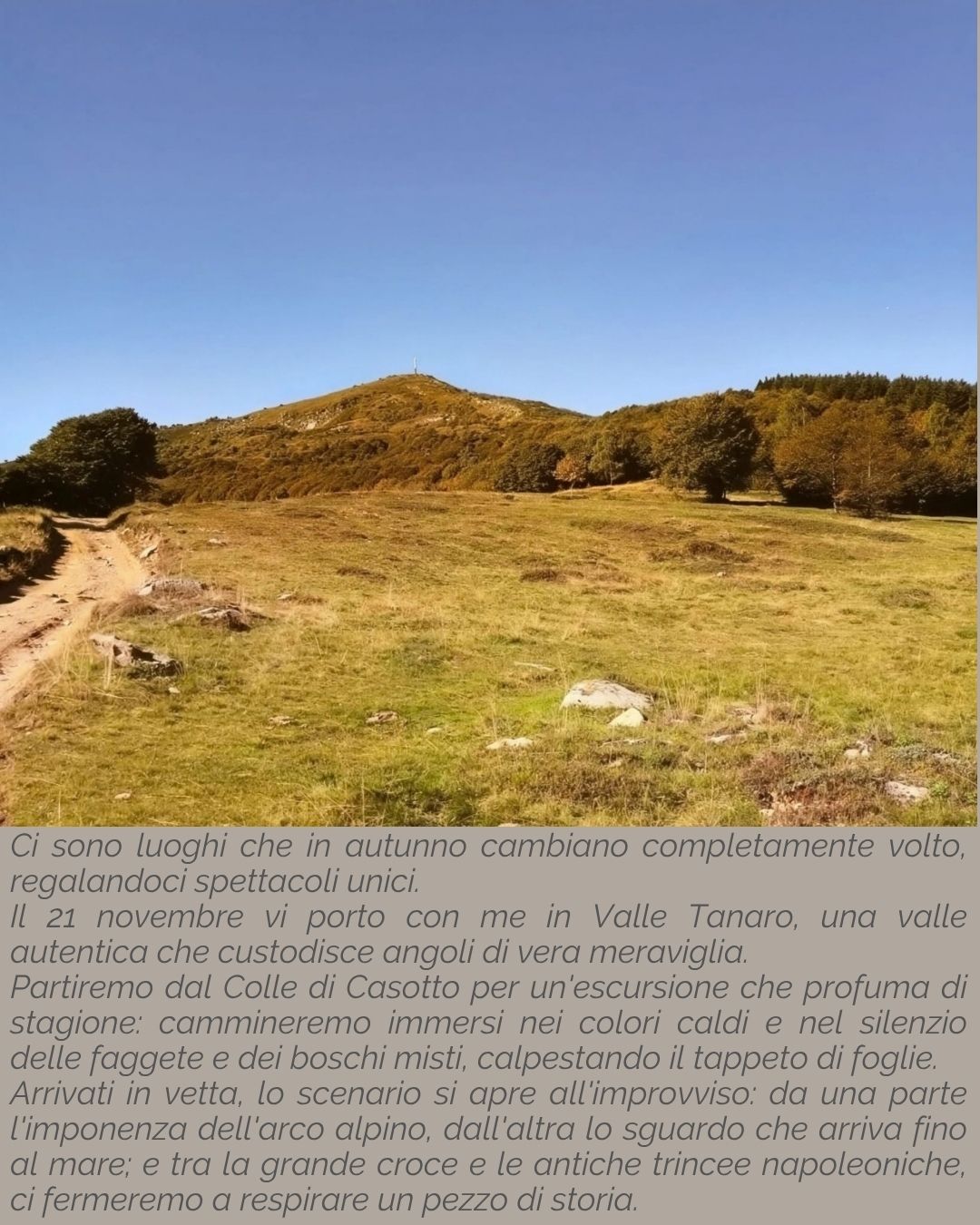 Pennellate d'autunno sul Mindino - Colla di Casotto - Parcheggio, Garessio (CN) - 📍 Colle di Casotto - Garessio (CN) 
📅 Sabato 21 Novembre
🕣 ore 9.30
🥾 12 km - 600 D+
➡️ Difficoltà T➡️ Difficoltà T
 
Ci sono luoghi che in autunn...