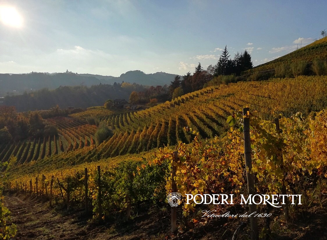 PODERI MORETTI offenes Weingut für Besuche und Weinproben wein von Alba, Langhe und Roero,  samstags und sonntags 2026 - Frazione Occhetti 15 e 40 Monteu Roero, Alba (CN) - Weinkeller nach Vereinbarung geöffnet. Dauer 2 Stunden. 
Der Weinkeller ist samstags um 10.30 Uhr und 15.00 Uhr, sonntags um 10.30 Uhr an folgenden T...