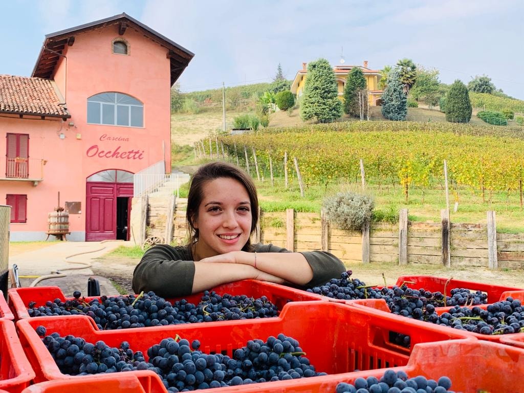 PODERI MORETTI offenes Weingut für Besuche und Weinproben wein von Alba, Langhe und Roero,  samstags und sonntags 2026 - Frazione Occhetti 15 e 40 Monteu Roero, Alba (CN) - Weinkeller nach Vereinbarung geöffnet. Dauer 2 Stunden. 
Der Weinkeller ist samstags um 10.30 Uhr und 15.00 Uhr, sonntags um 10.30 Uhr an folgenden T...