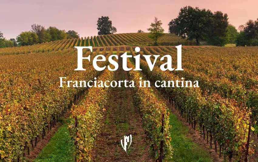 Festival Franciacorta in Cantina - Centro città, Erbusco (BS) - L'edizione 2026 del Festival Franciacorta in Cantina è in programma con tanti appuntamenti nel weekend del 18-19-20 settembre.
Le cantine partecipanti...