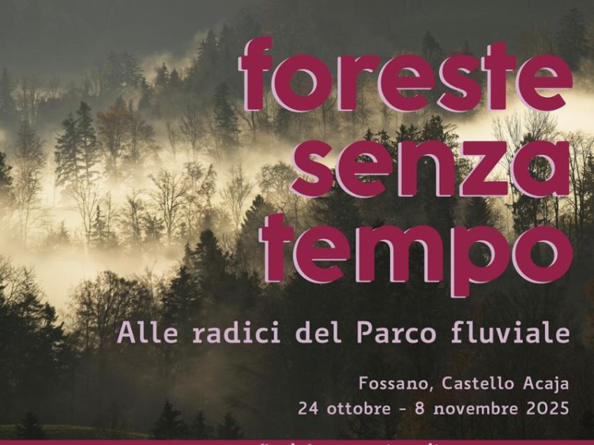 FORESTE SENZA TEMPO - Castello dei Principi d'Acaia, Fossano (CN) - Da venerdì 24 ottobre a sabato 8 novembre, presso il Castello dei Principi d'Acaia di Fossano, mostra scientifico-divulgativa "Foreste senza tempo - A...