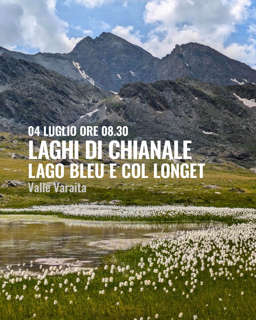 Escursione ai laghi di Chianale - Fraz. Chianale, Pontechianale (CN) - LAGHI DI CHIANALE:LAGO BLEU E COL LONGET Valle Varaita
C’è un posto, in alta Valle Varaita, che porto nel cuore 🏔️ — e voglio portarci anche voi.Si pa...