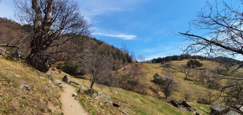 Respirare le alte vie in primavera - Open Baladin piazza Foro Boario, Cuneo (CN) - Mercoledì 25 febbraio 2026, alle ore 18,30, l’Open Baladin di Cuneo (piazza Foro Boario) ospiterà un nuovo appuntamento della rassegna “Off” del Cuneo...