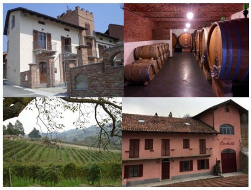 PODERI MORETTI cantina aperta per visita guidata e degustazione -  Frazione Occhetti 40, Monteu Roero (CN) - PODERI MORETTI cantina aperta per visita guidata e degustazione pregiati vini di Alba Langhe e Roero 2026
Poderi Moretti – Cascina Occhetti – Monteu...