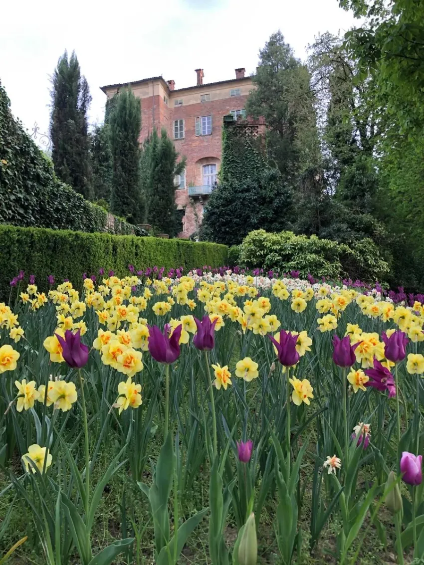 Il Narciso Incantato al Castello di Piea - Piazza Italia, 3, Piea (AT) - Prenderà il via il 21 marzo, al Castello di Piea d'Asti, (At), in piazza Italia 3, con iltradizionale brindisi inaugurale la XVIII edizione de Il Narc...