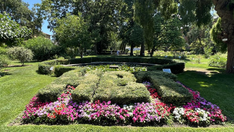 Apertura dell’Orto Botanico di Torino - Orto Botanico di , Viale Pier Andrea Mattioli 25., Torino (TO) - L’Orto Botanico dell’Università di Torino, fondato nel 1729 per volere di Vittorio Amedeo II, si pone come obiettivo la divulgazione della conoscenza...