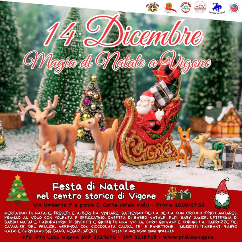 Magia di Natale - Via Umberto I, Vigone (TO) - 