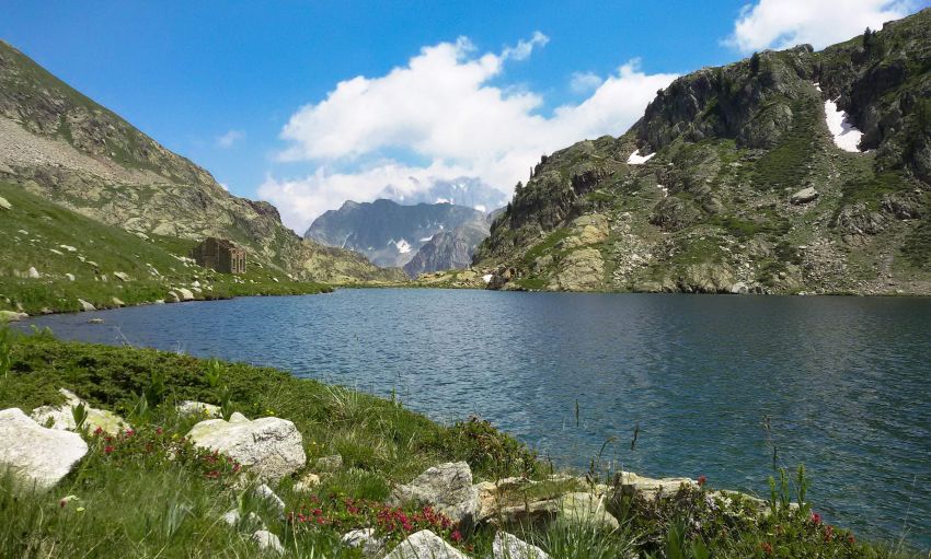 ESCURSIONI VALLI DA SCOPRIRE - Laghi di Valscura - Valdieri, Valdieri (CN) - 
 𝗩𝗮𝗹𝗹𝗲 𝗚𝗲𝘀𝘀𝗼 - 𝗟𝗮𝗴𝗵𝗶 𝗱𝗶 𝗩𝗮𝗹𝘀𝗰𝘂𝗿𝗮
𝘝𝘢𝘭𝘭𝘪 𝘥𝘢 𝘴𝘤𝘰𝘱𝘳𝘪𝘳𝘦
 


 Martedì 25 agosto 2026
 

Nel cuore delle Alpi Marittime, e delle Aree protette Marittime e M...