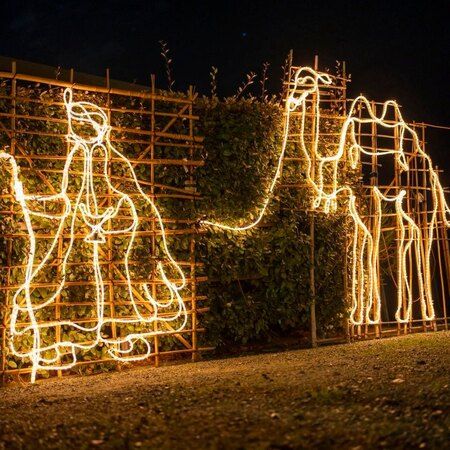 PRESEPE LUMINOSO - Centro citta', Celle Ligure (SV) - IL PRESEPE ILLUMINA CELLE
IL PRESEPE LUMINOSO 2025 È ACCESSO OGNI GIORNO DALLE ORE 17:00 ALLE ORE 01:00 DAL 6 DICEMBRE AL 6 GENNAIO 2026
dai giardin...