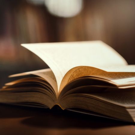 Incontro di lettura - 'Unione Culturale Democratica, Via Al Mercato 8, Bordighera (IM) - Sabato 8 novembre, alle 17:00, si svolgerà un incontro di lettura presso la sede dell'Unione Culturale Democratica, situata in Via Al Mercato 8 a Bord...