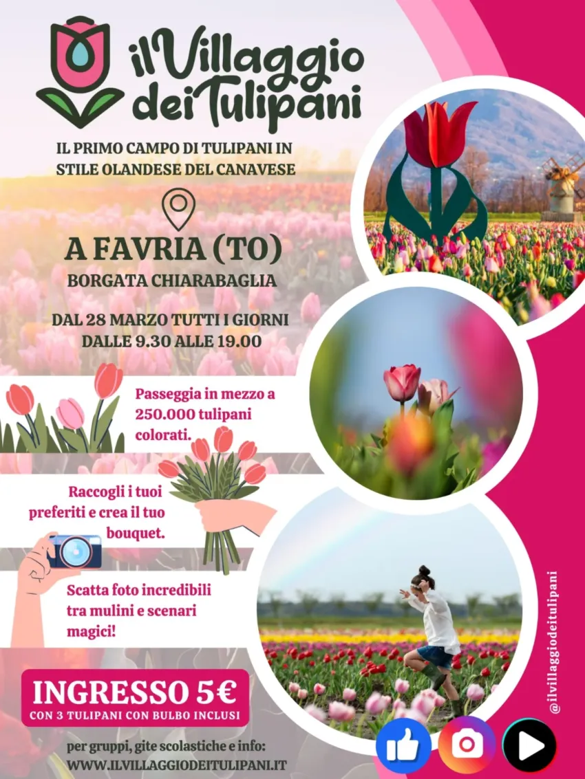 IL VILLAGGIO DEI TULIPANI - Il primo Parco di Tulipani del Canavese - Borgata Chiarabaglia, 10083, Favria (TO) - A Favria (TO) apre il campo di tulipani più atteso della stagione.🌷 250.000 fiori☀️ Aperto tutti i giorni🎁 Tante sorprese in arrivo! Vieni a sceglie...