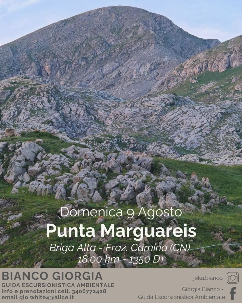 Punta Marguareis - Frazione Carnino Superiore, Briga Alta (CN) - 📍 Valle Tanaro - Briga Alta, Fraz. Carnino Superiore📅Domenica 09 Agosto
🕣 ore 8.00
🥾 18 km - 1350 D+
 
Nel cuore pulsante delle Alpi Liguri svetta...