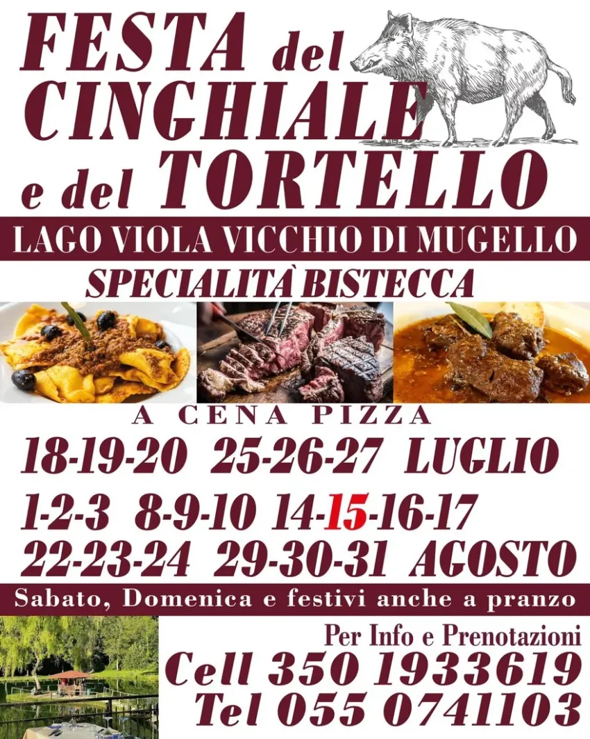 Festa del Cinghiale e del Tortello - Vicchio di Mugello, Vicchio (FI) - A Vicchio del Mugello (FI) attorno al Lago Viola, arriva la Festa del Cinghiale e del Tortello e con specialità Bistecca e Ficattole. La festa si terr...