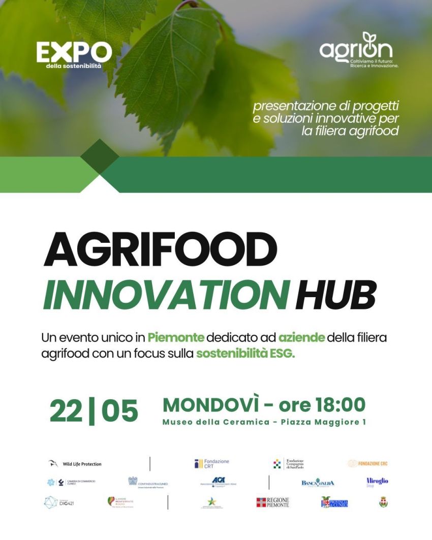 EXPO DELLA SOSTENIBILITÀ - Mondovì - Cuneo, Cuneo (CN) - L'EXPO della Sostenibilità nasce con l’obiettivo di promuovere un approccio innovativo e collaborativo alla sostenibilità, affrontando le sfide ambien...