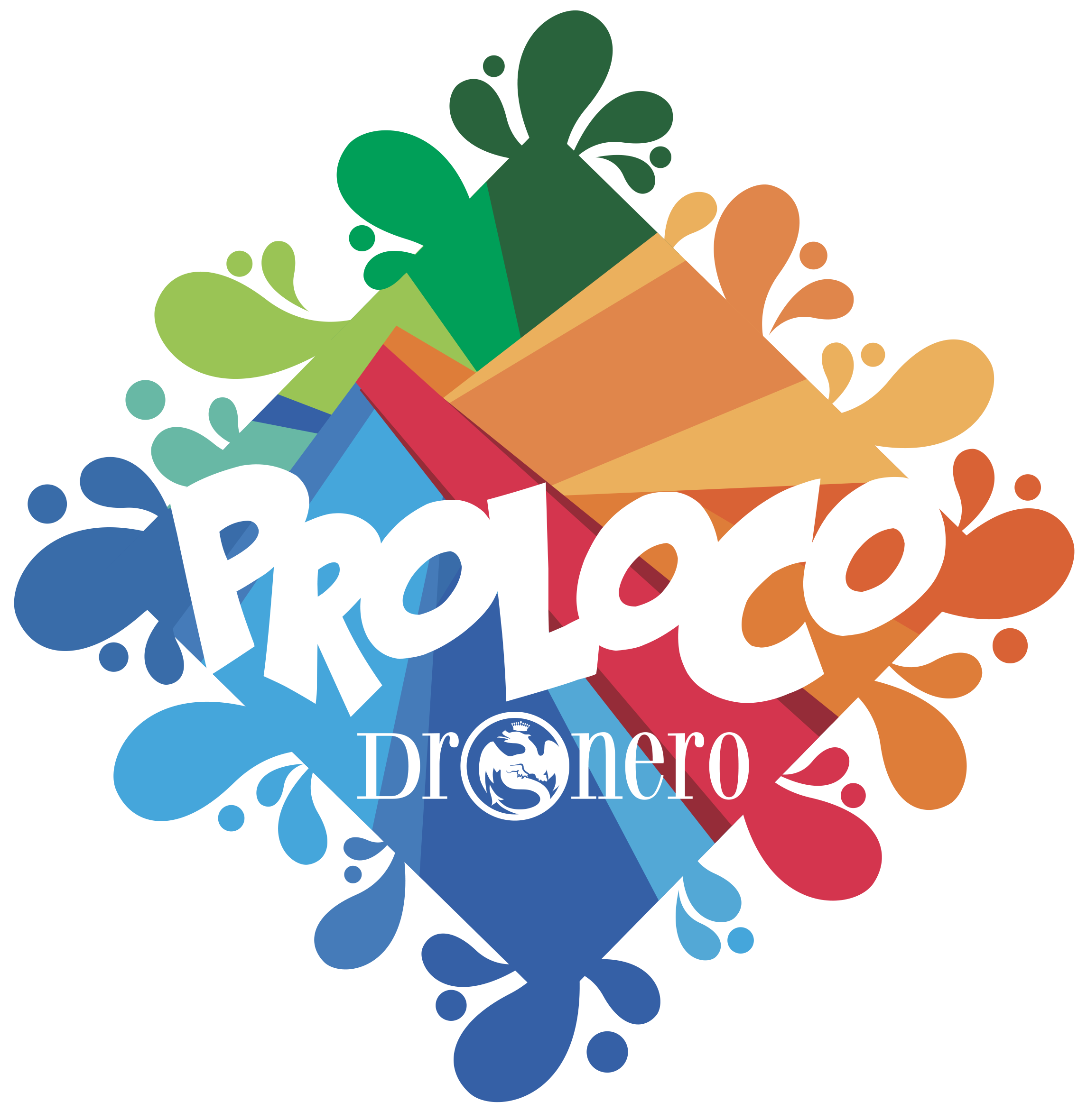 Proloco Dronerese
